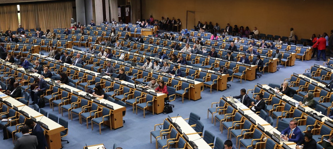 163rd Meeting of the Committee of Permanent Representatives