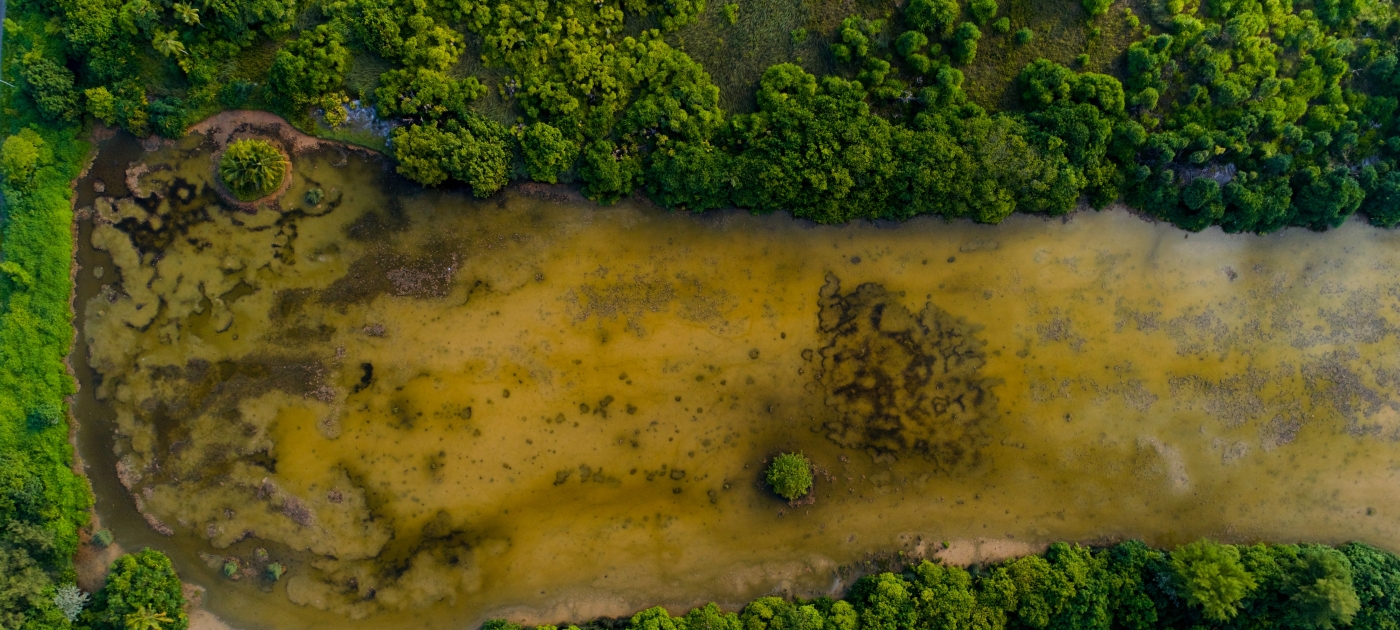 Nutrient pollution in water bodies