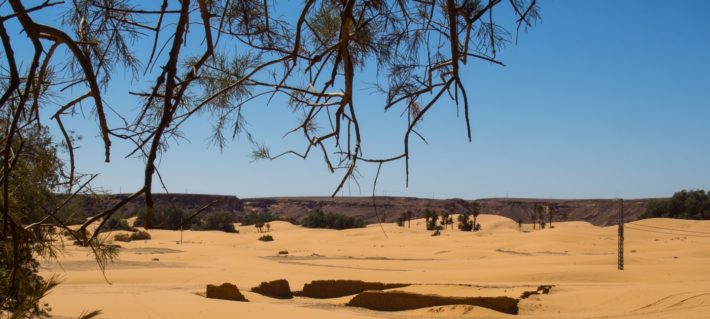 @Halima Bouchouicha/Unsplash