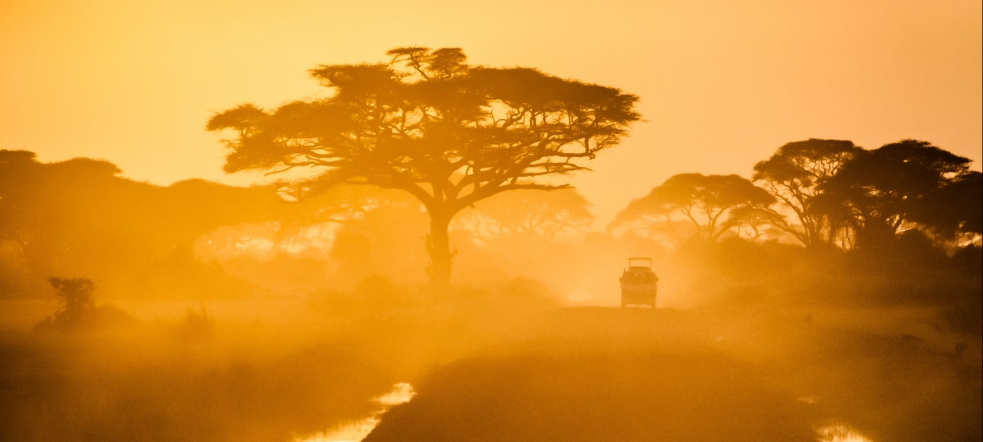 https://unsplash.com/fr/photos/wdMWMHXUpsc