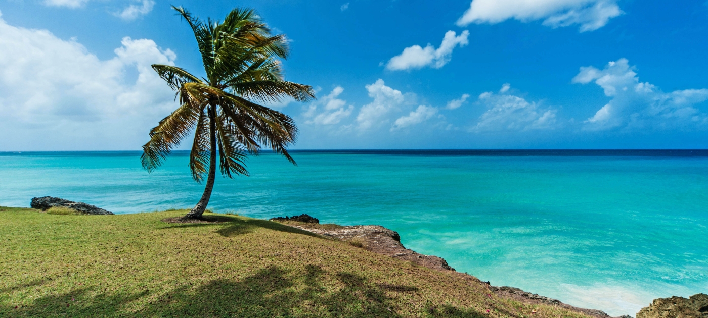 Barbados coast