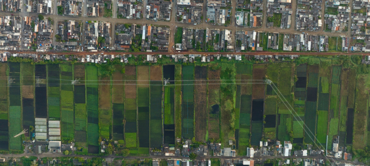 Foto mostra dois lados da cidade, um com casas e outro com agricultura urbana