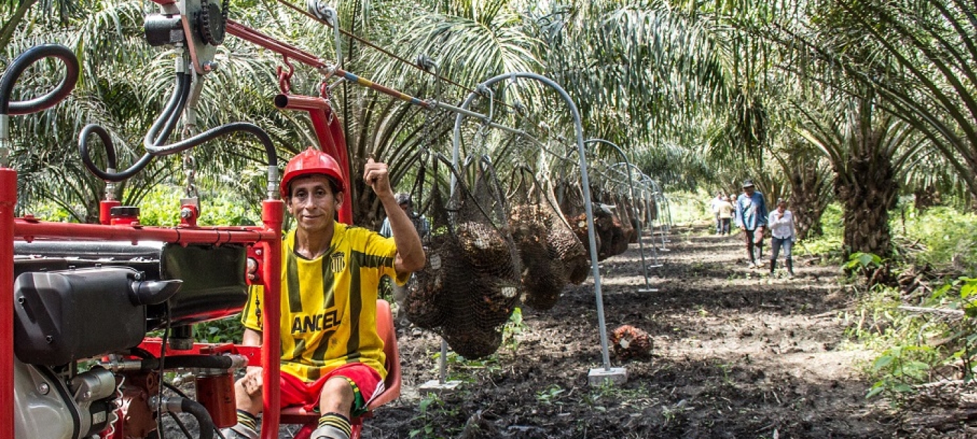 Cable system to transport oil palm harvest in San Martin, Peru.