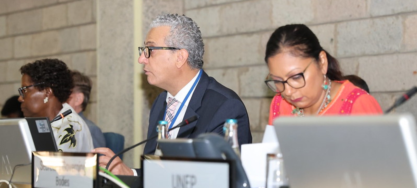 UNEP Photo