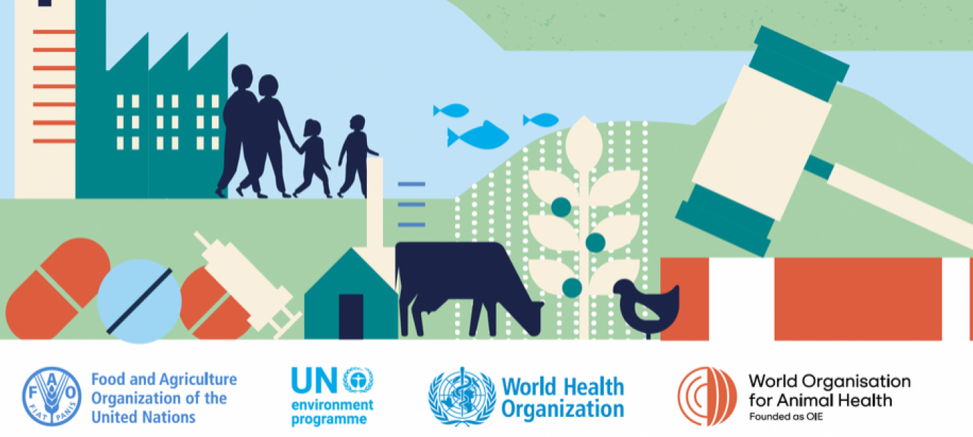 The Quadripartite One Health Legislative Assessment Tool for Antimicrobial Resistance