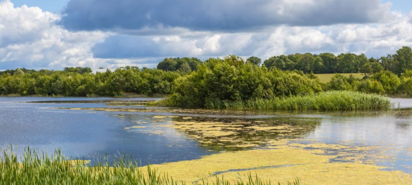 Nutrient pollution