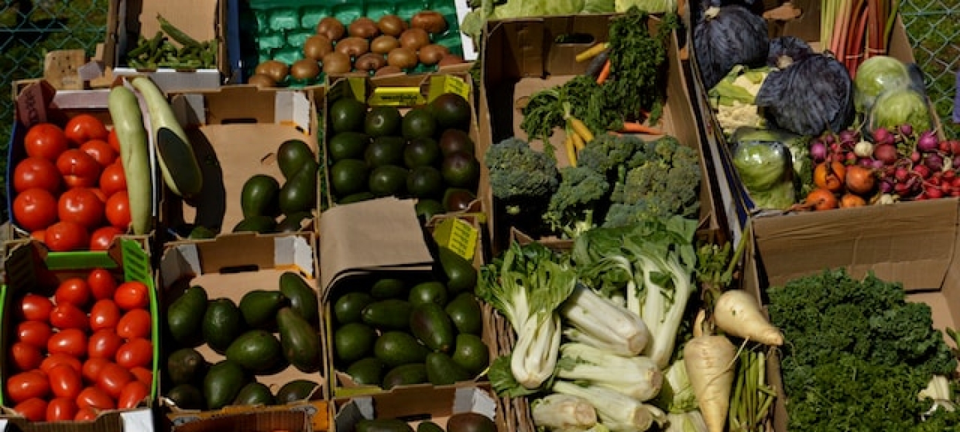 alimentos