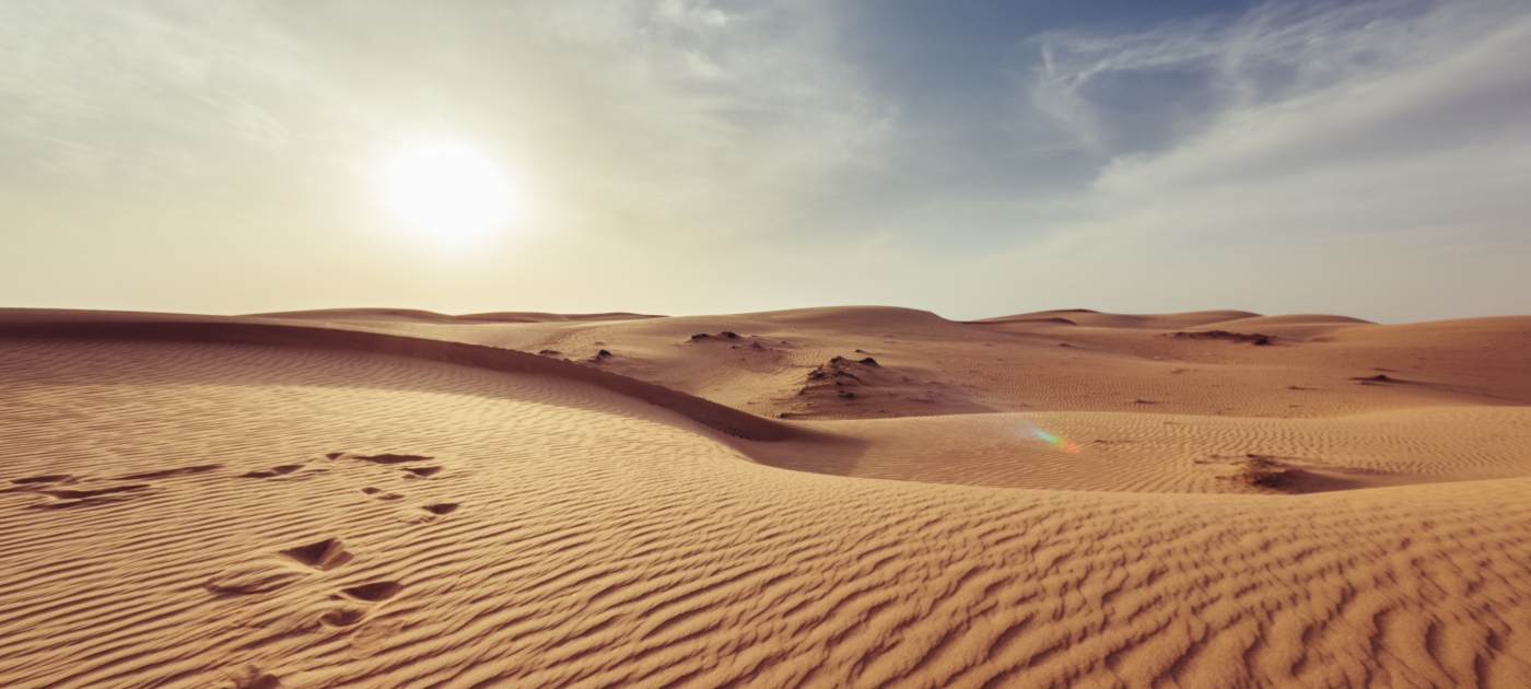 Desert Muscat