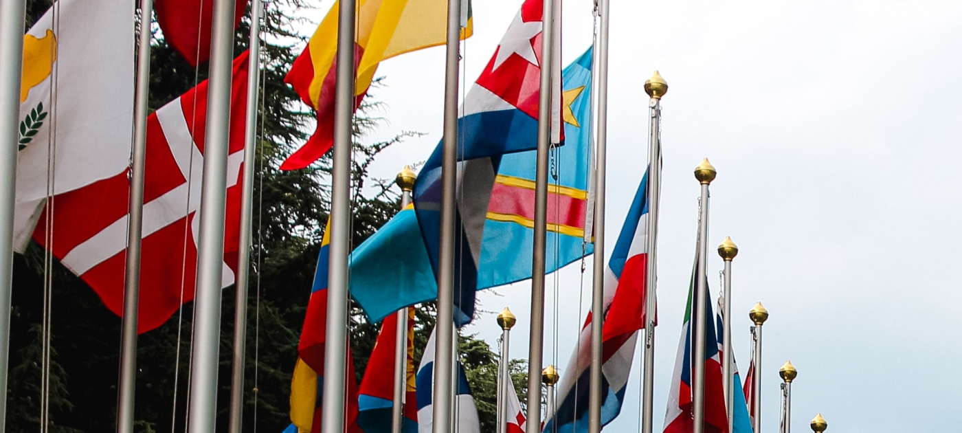 UN flags