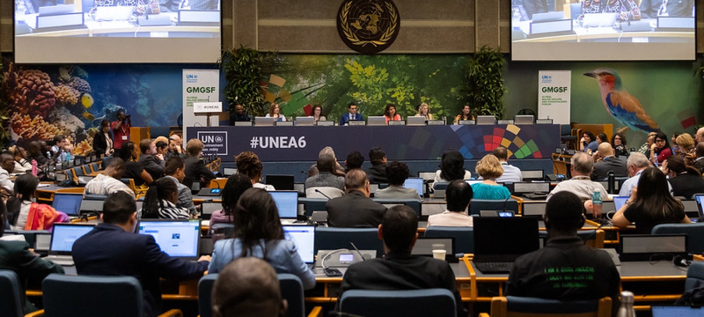Global Major Groups and Stakeholders Forum UNEA6