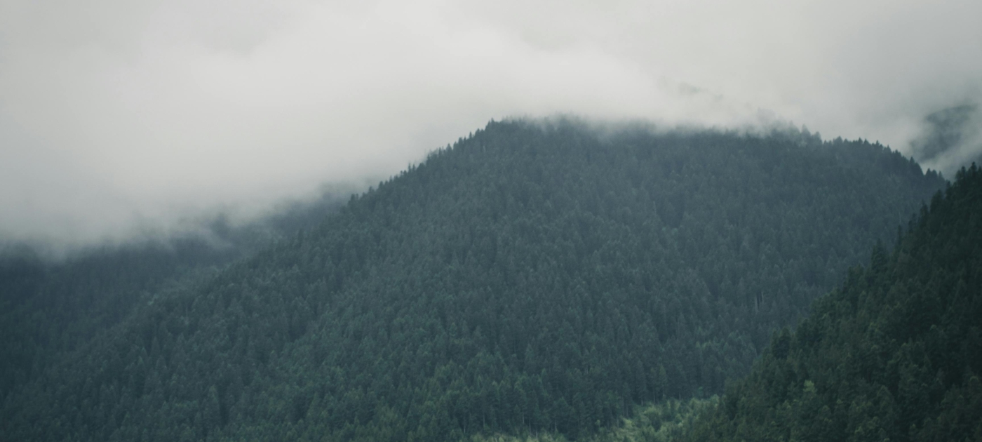 Mountain Covered by Trees