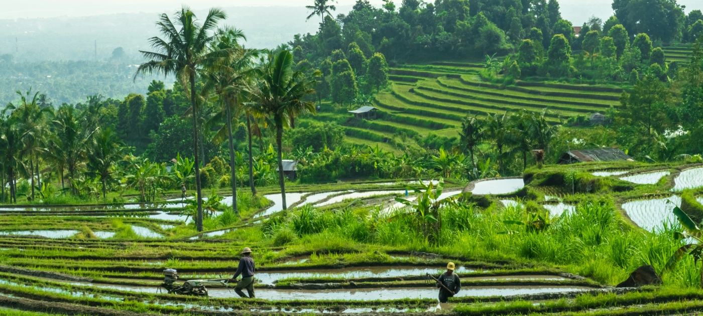Bali/water
