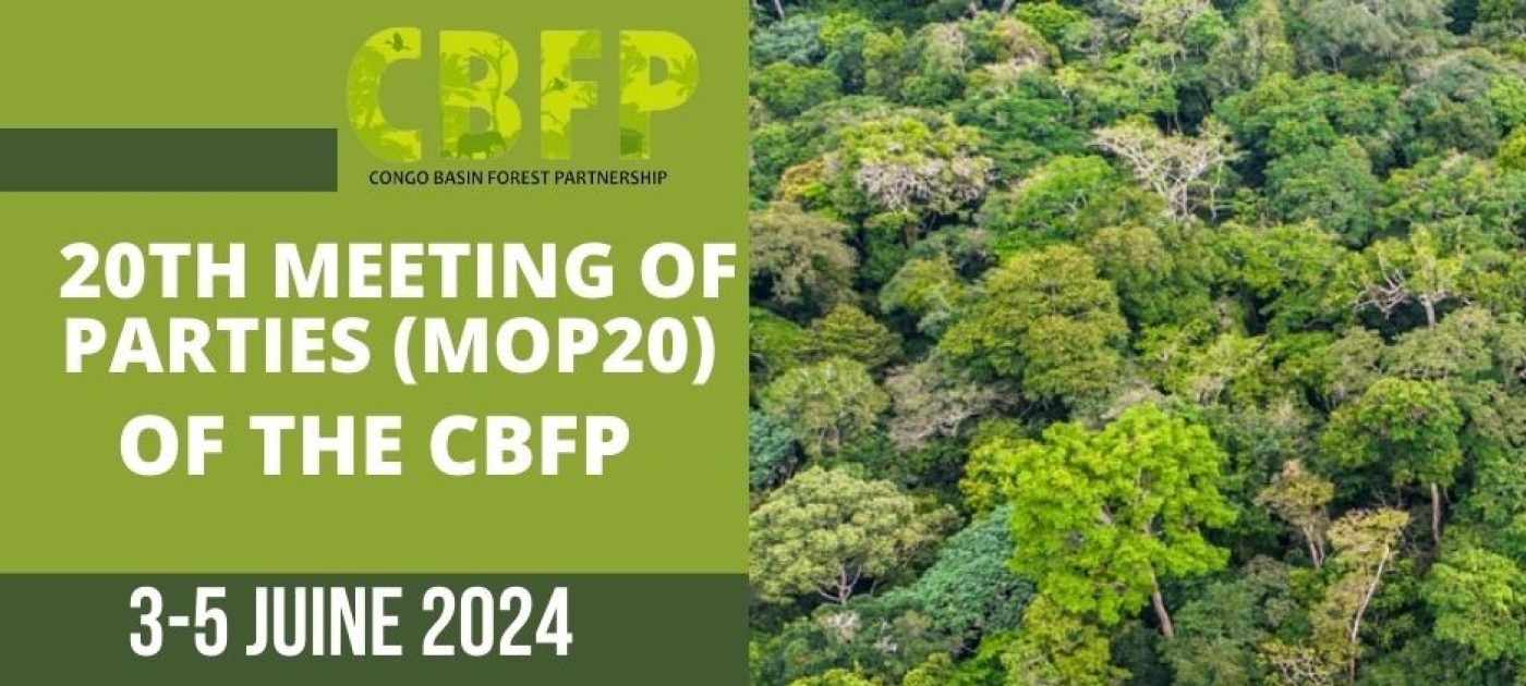 Event banner of the 20th Meeting of Parties of the Congo Basin Forest Partnership.
