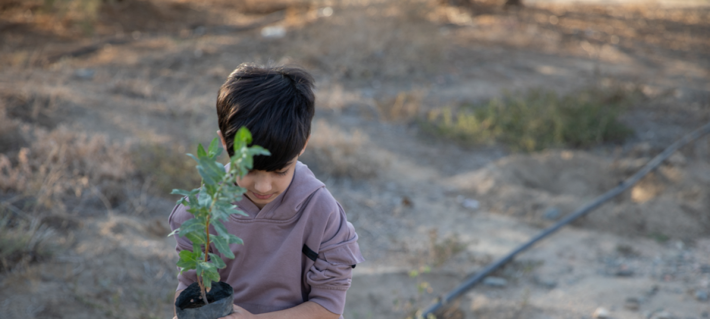 Boy holding green leafy plant 