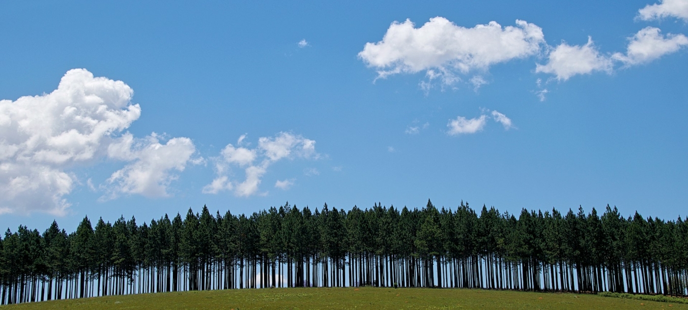 Green grass field under white and blue cloudy sky