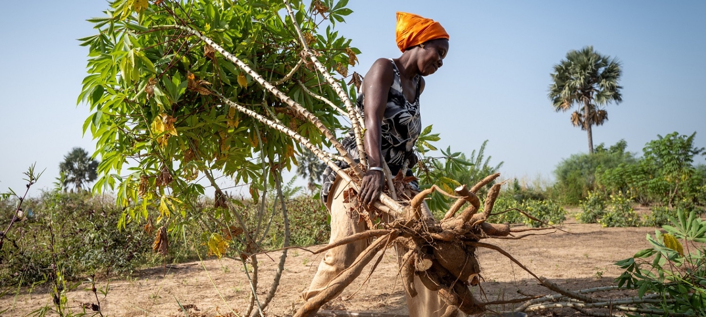 A woman carrying a young tree