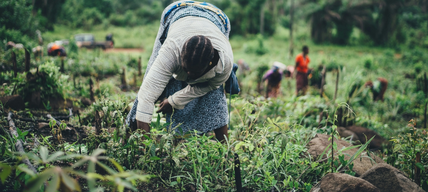 Organic farming