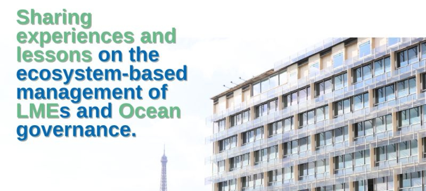 Regional Seas Conventions and Action Plans participate in LME23