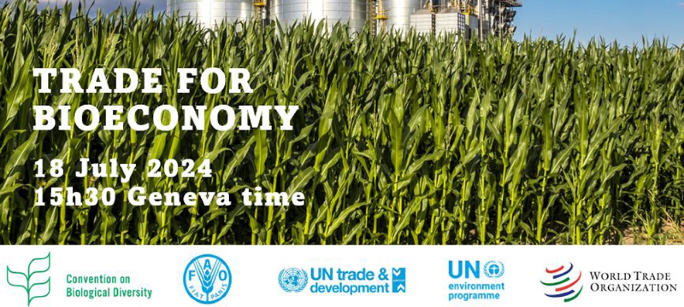 unep.org