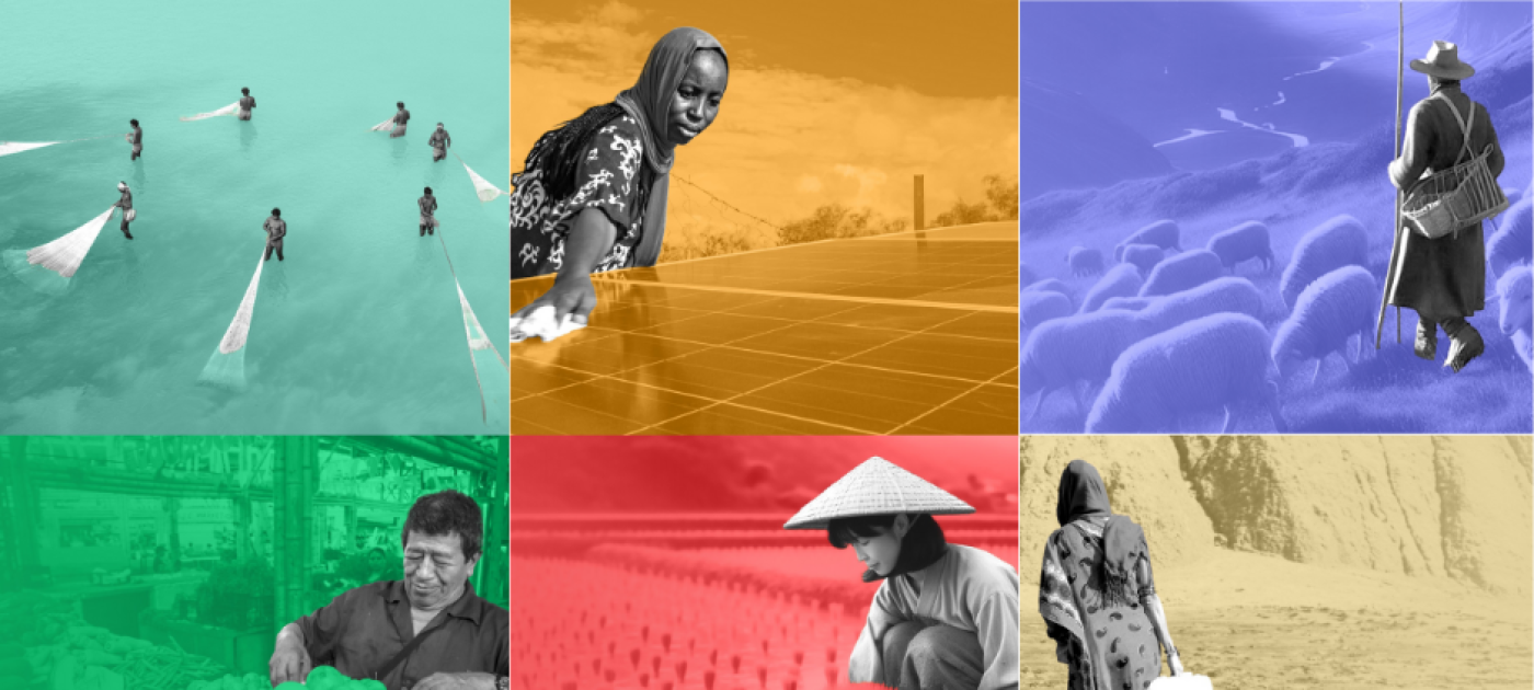 A colourful composite photo