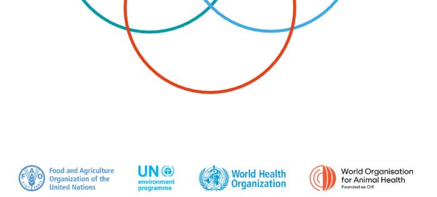 One Health Priority Research Agenda for AMR: Opportunities to foster the implementation of the agenda