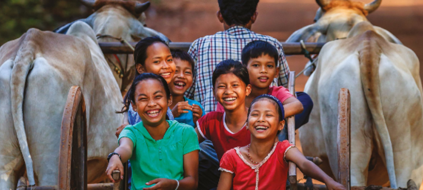 Tackling Antimicrobial Resistance Across Sectors:  The Value of the Antimicrobial Resistance Multi-Partner Trust Fund