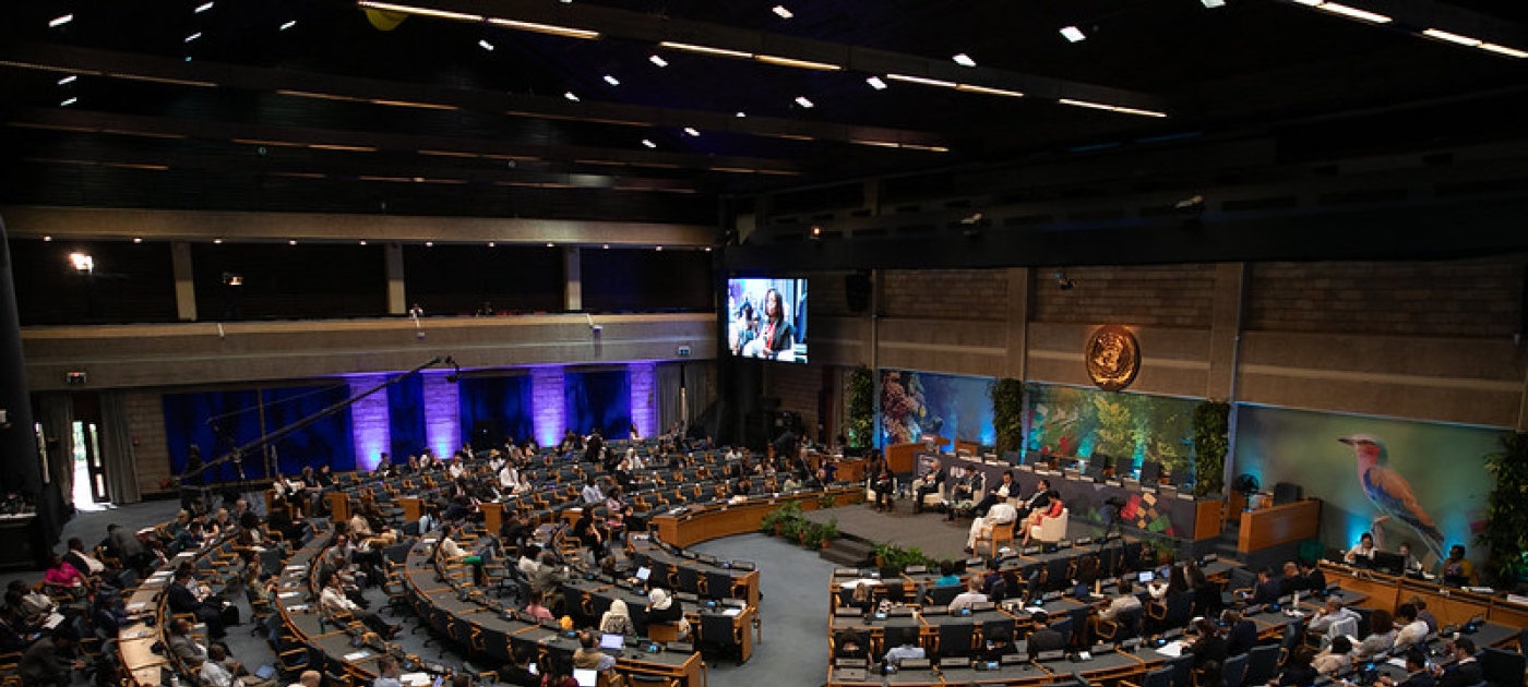 UNEP Photo