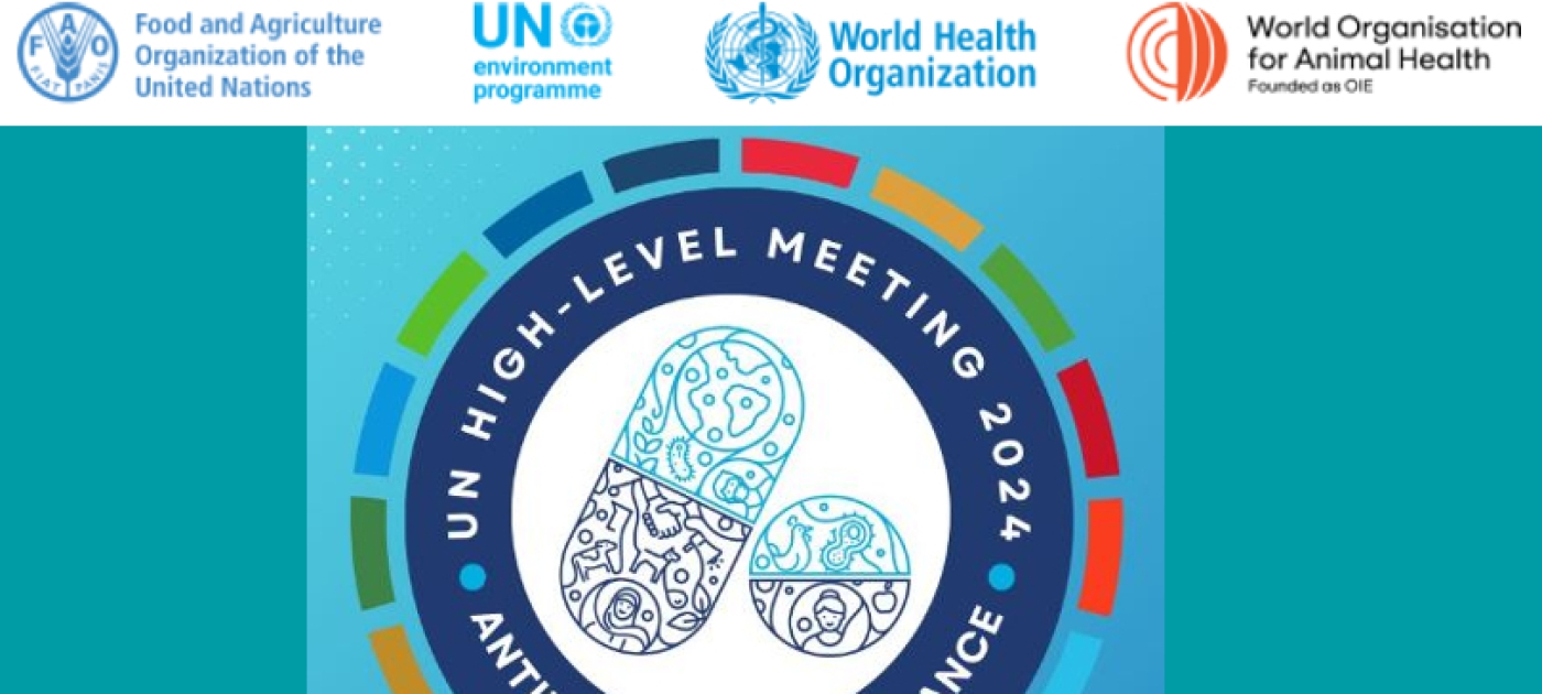Bringing the voices and perspectives of the Low-and middle-income countries into the dialogue