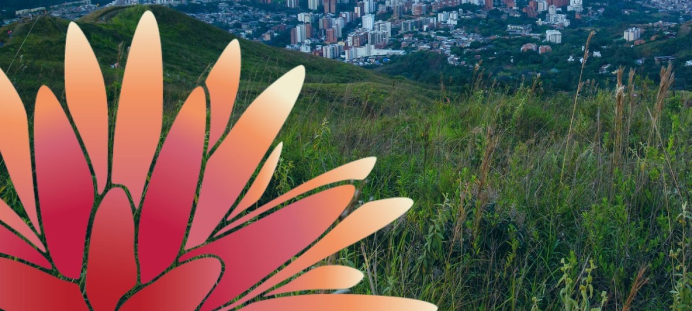 Summit Logo