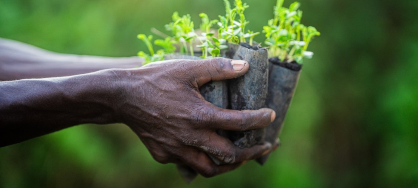 Ecosystem Restoration