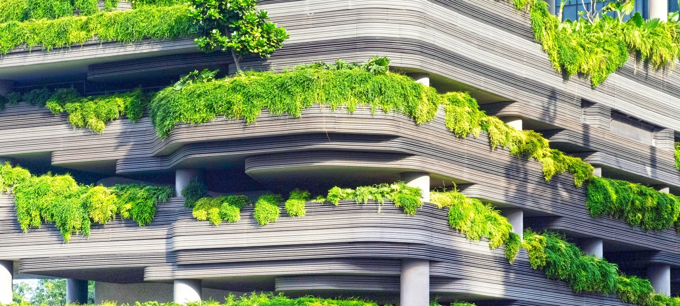 Nature in Cities