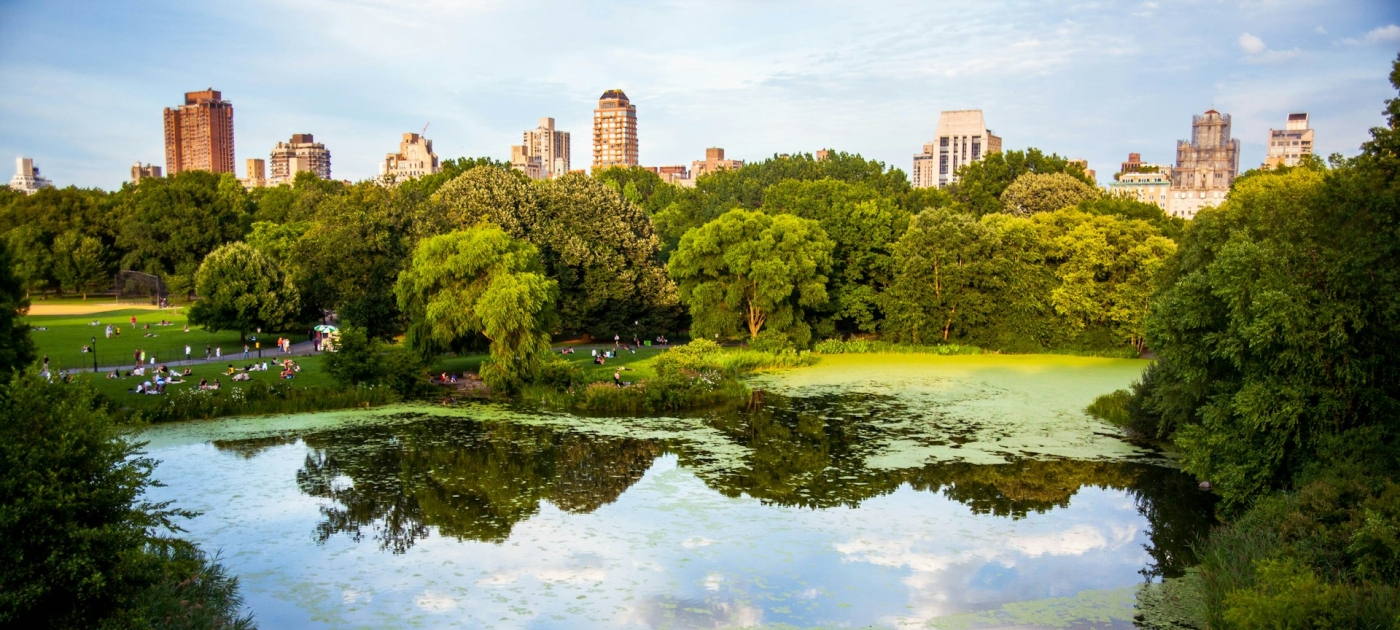 Green City 