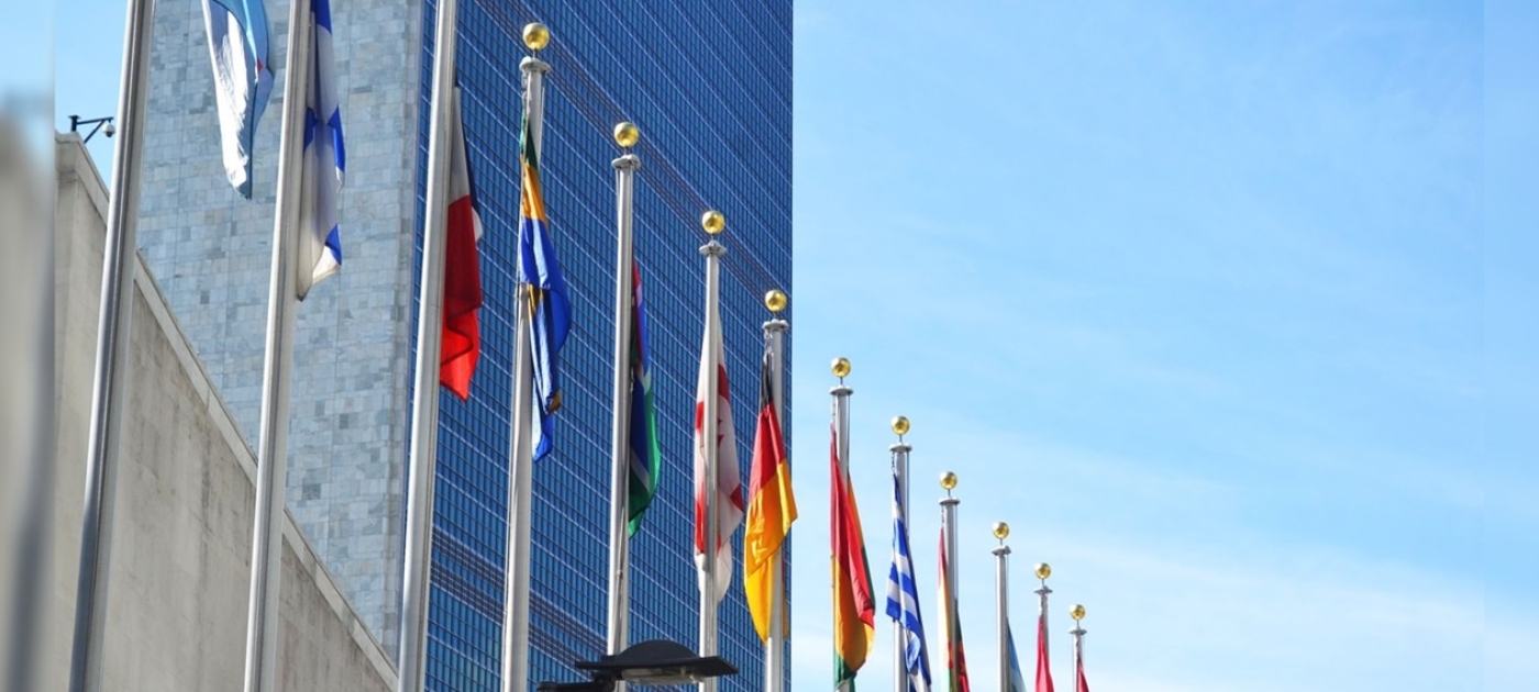 High-Level Meeting on Antimicrobial Resistance 2024 - General Assembly, 79th session