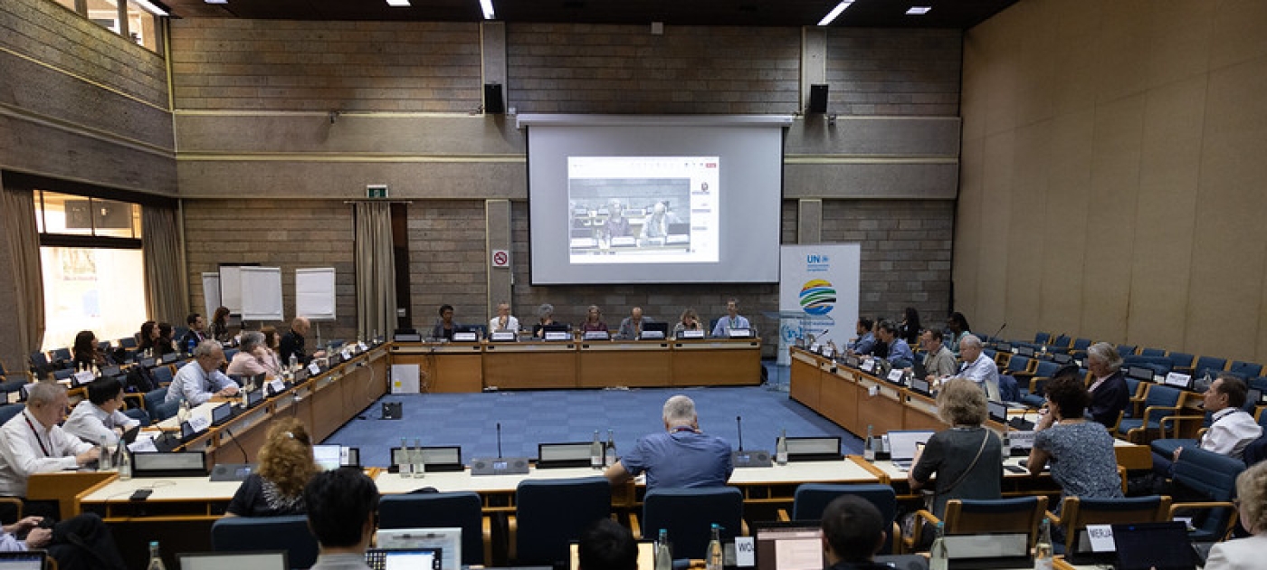 UNEP Picture