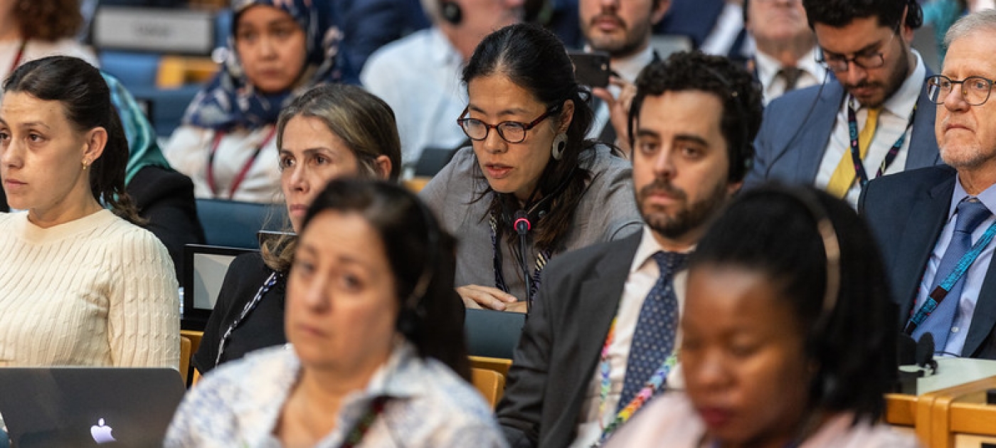 UNEP Photo