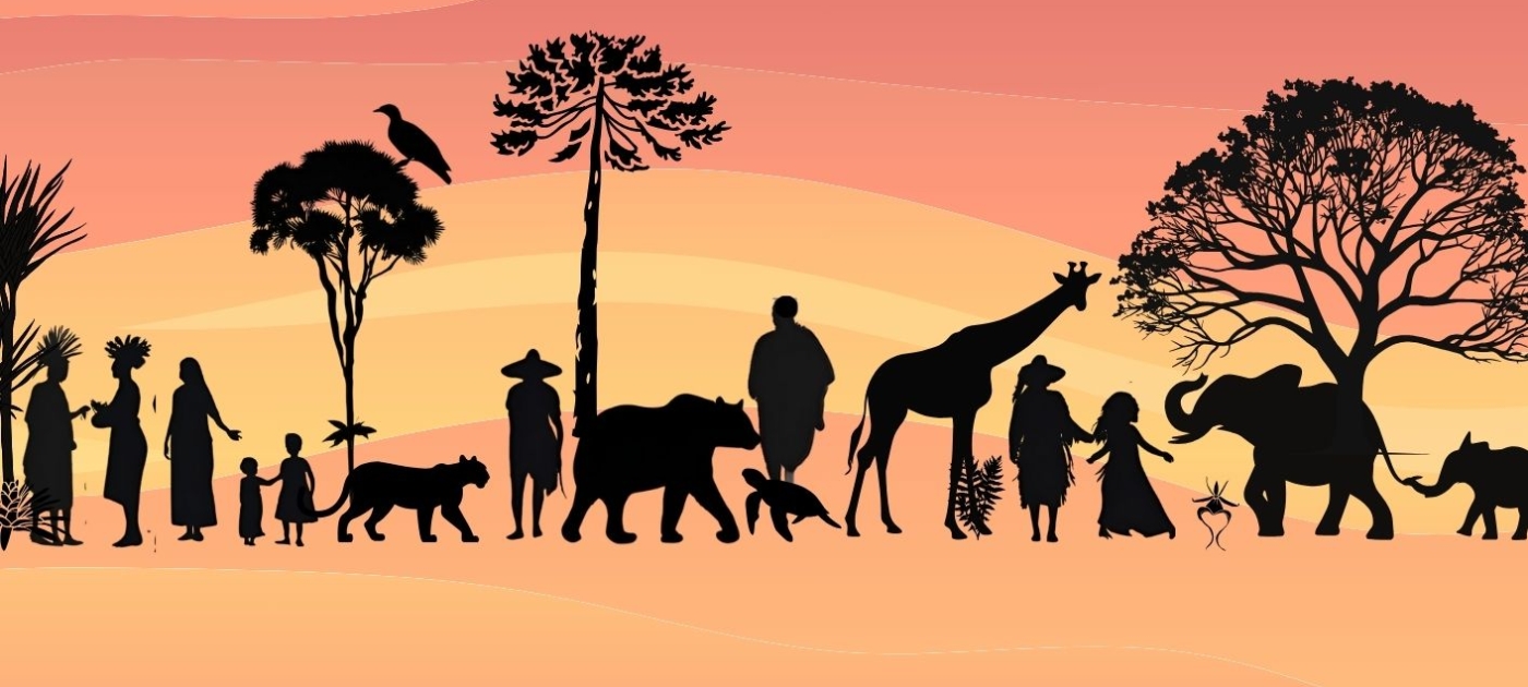 cover image of core human rights principles 