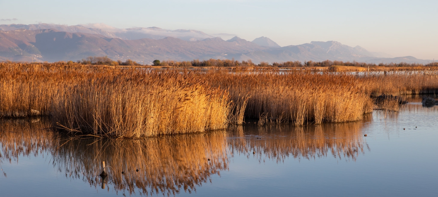 Building the Resilience of Kune-Vaini Lagoon through Ecosystem-based Adaptation (EbA)