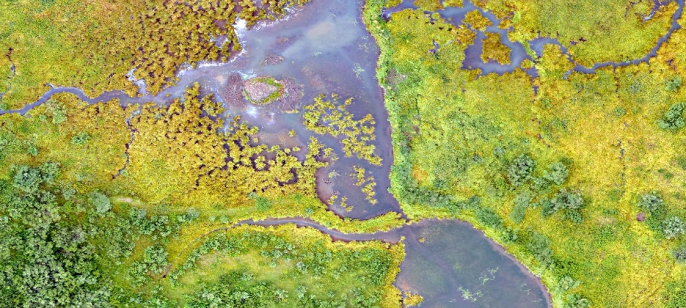 Aerial photography of a wetland