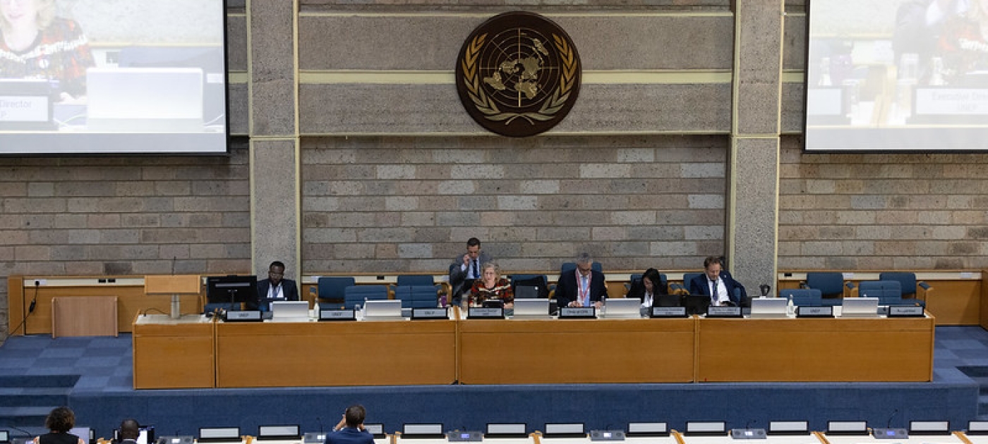UNEP Picture