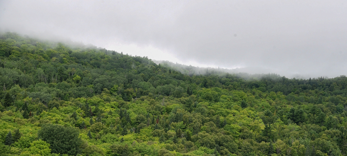 clean air
