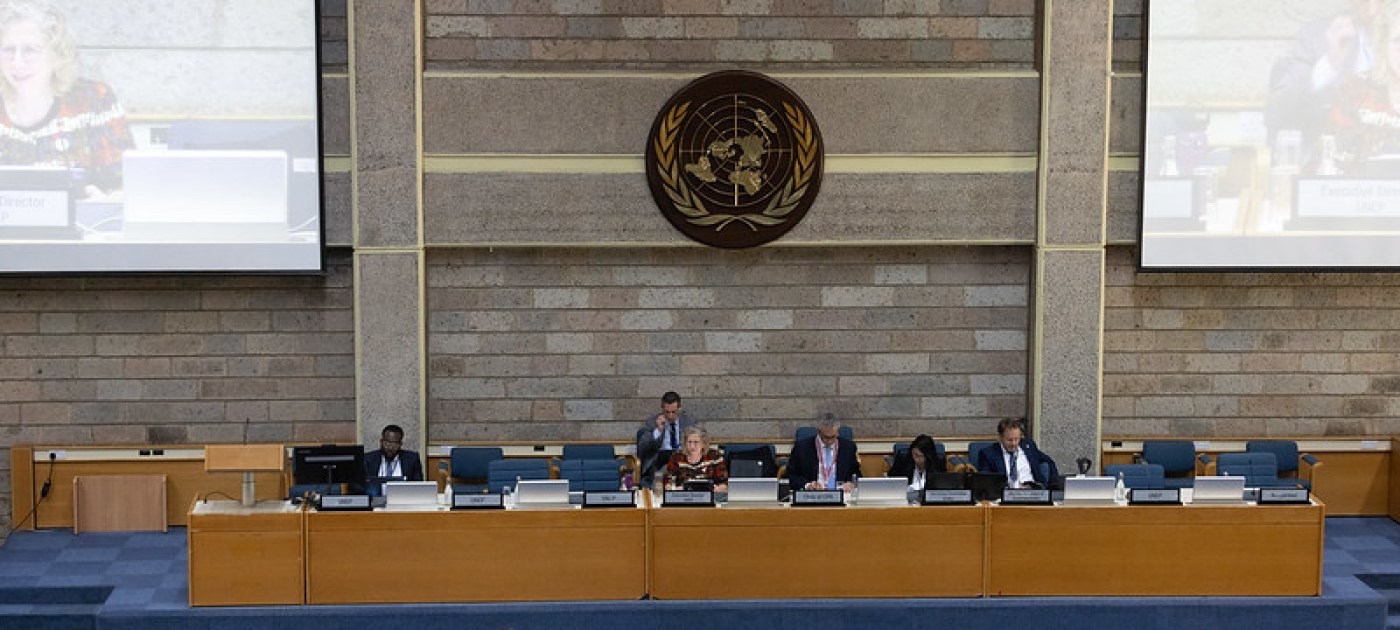 UNEP Picture