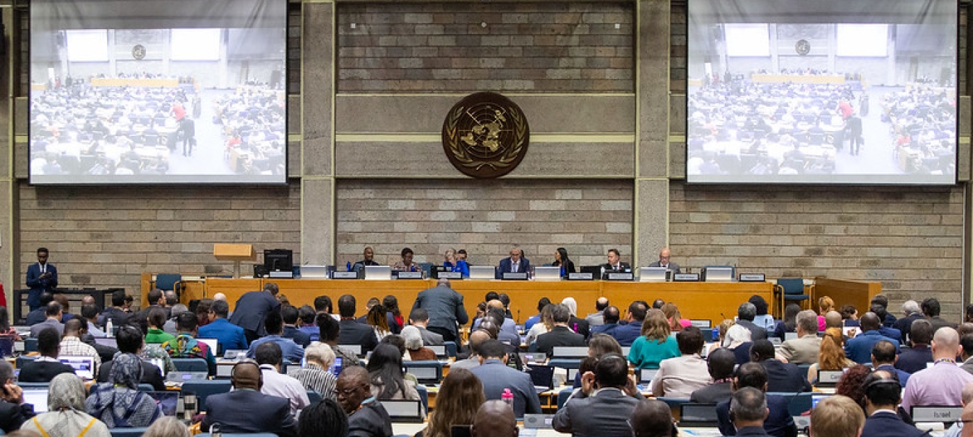 UNEP picture