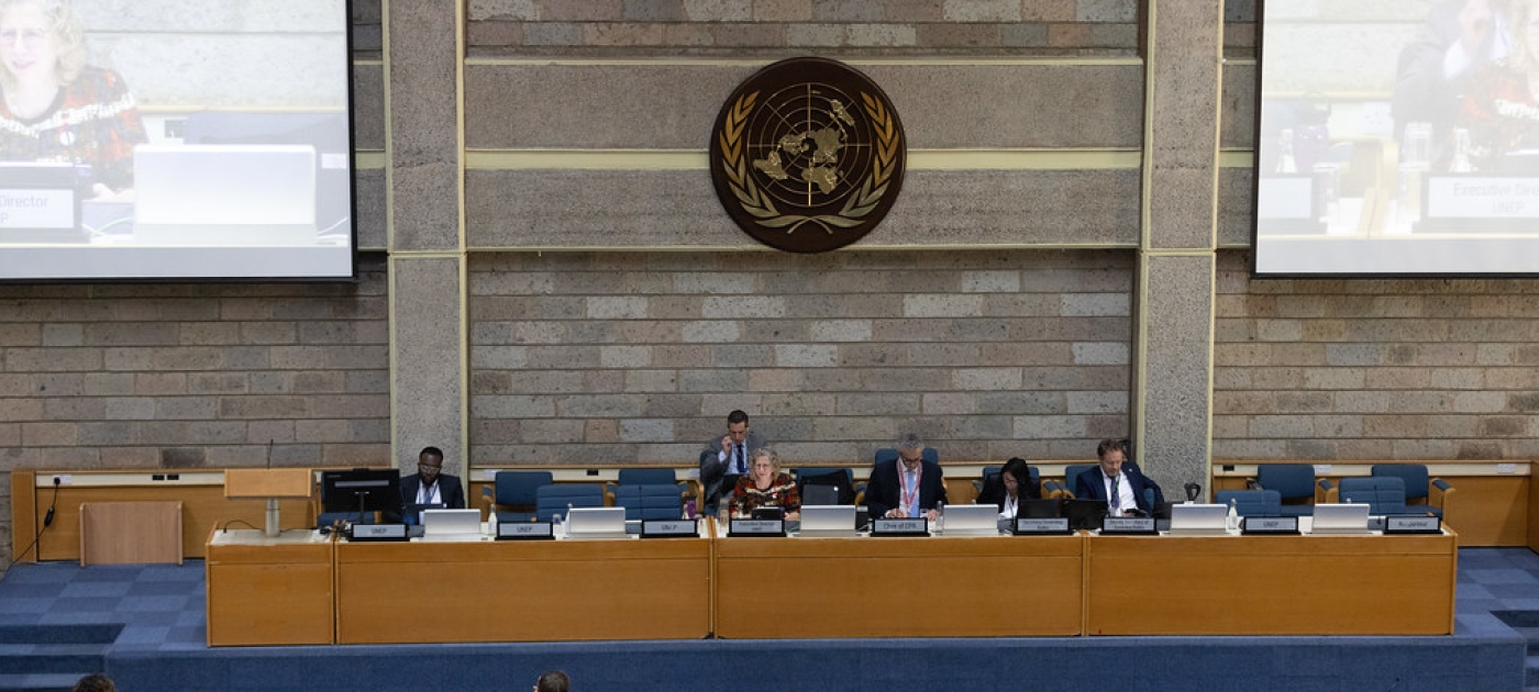 UNEP picture