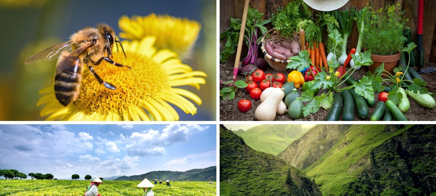 biodiversity