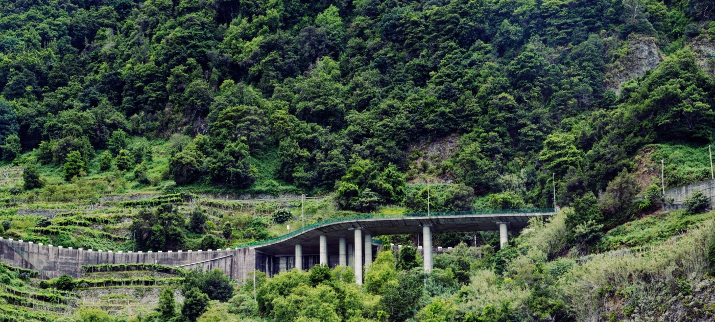 Modern highway in Madeira