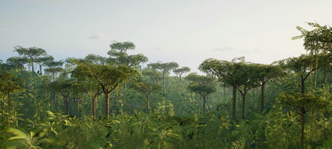 Lush green forest
