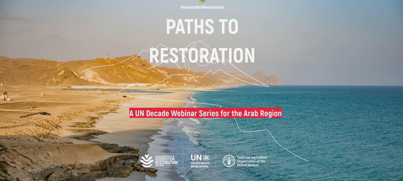 UN decade webinars 