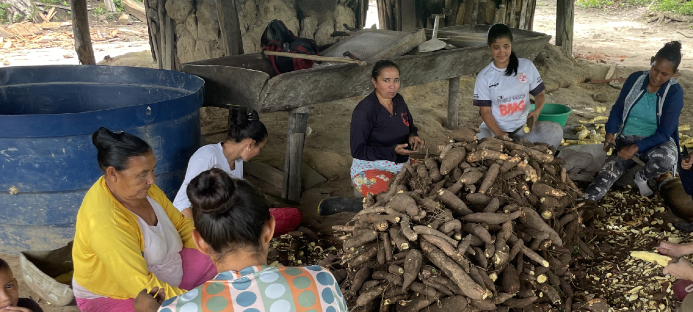 Mulheres descascam mandioca que depois será beneficiada e vendida