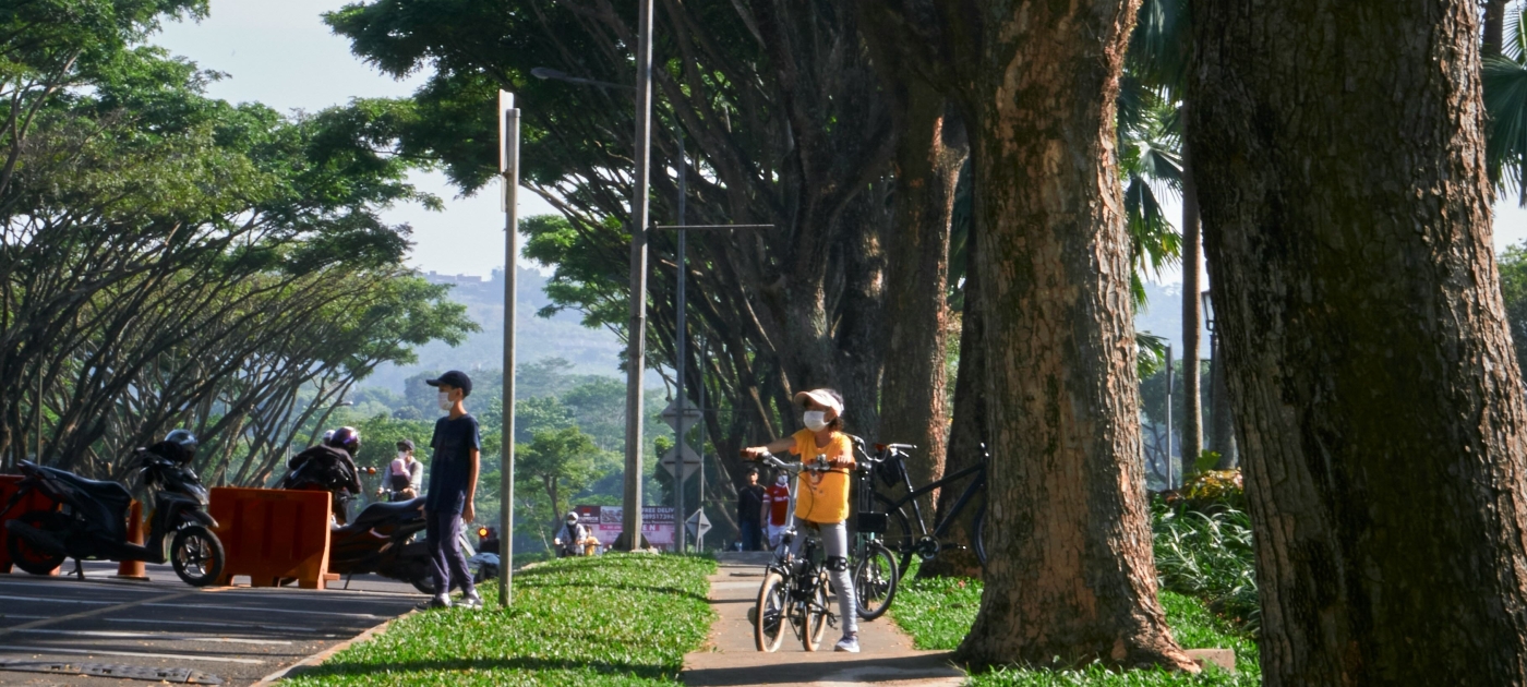 Riding a bike under green trees during daytime