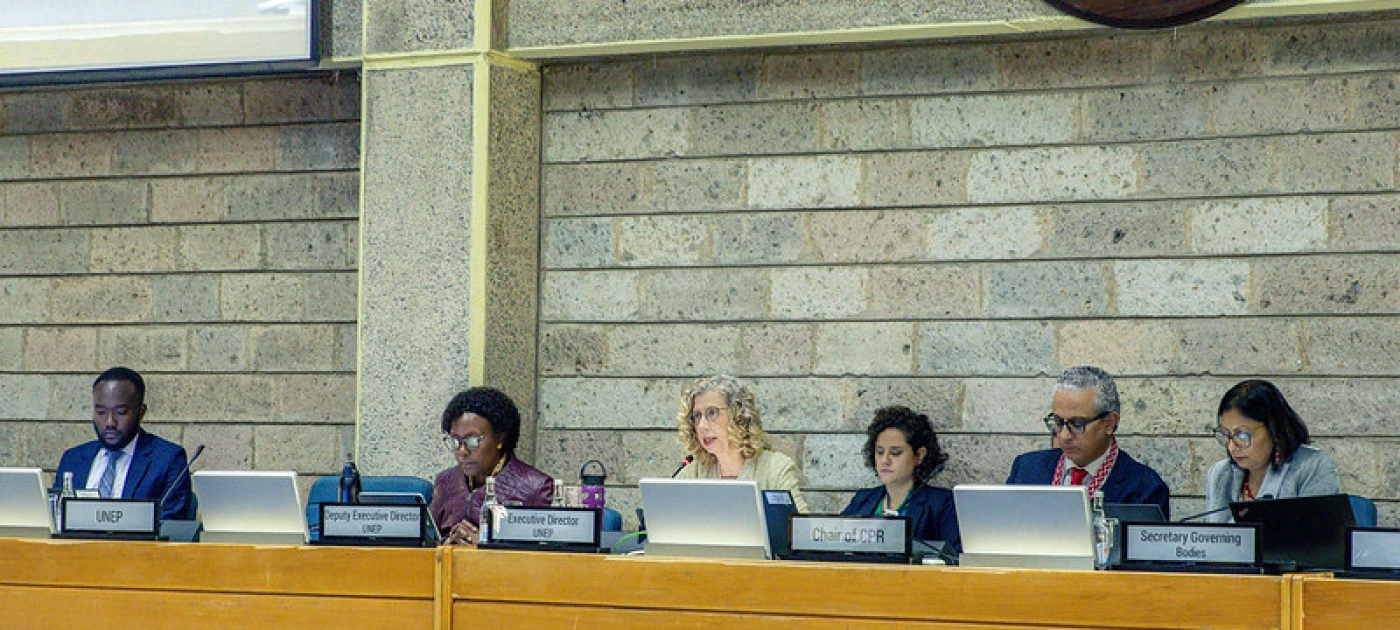 UNEP Photo